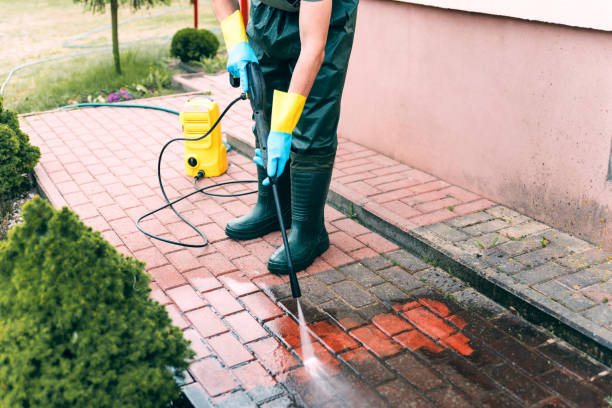 Best Deck Pressure Washing  in Demopolis, AL