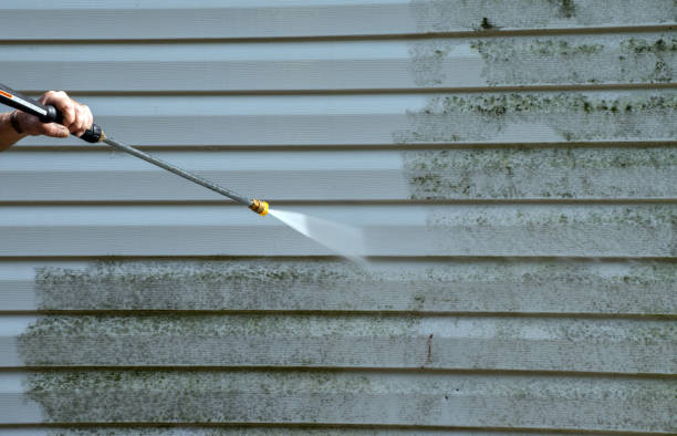 Best Local Pressure Washing Services  in Demopolis, AL